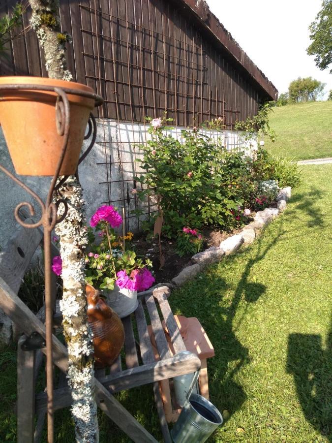 Kim'S Cottage Gorwihl Dış mekan fotoğraf